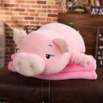 jeju the squishy piggy 15